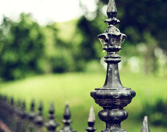 Fence Photograph. "Lafayette Square" Fine Art Print. St. Louis. Green, Wrought Iron, Park, Nature 8x10, 11x14, 16x20, 20x24, 24x30, 24x36