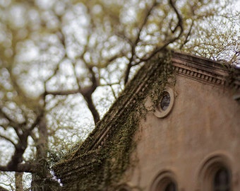 New Orleans Garden District Photography "Creeping Ivy" - architecture, garden district - home decor wall art -  spring photograph