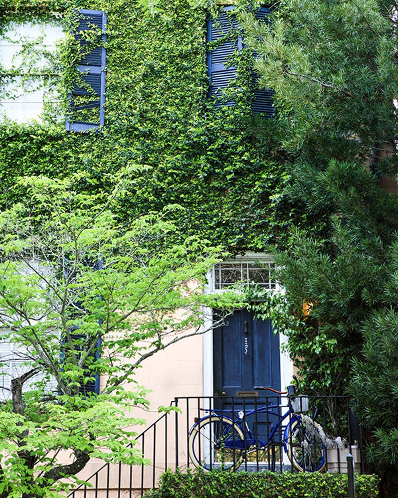 Living Room Wall Art, Bicycle Print, Door Photography, Savannah Georgia, Travel Photography, Home Decor, Southern Art, Photo Gift, For Him image 1