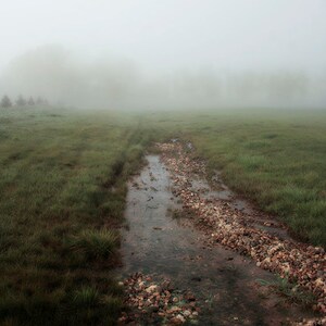 Fine Art Landscape Photograph "Foggy Iowa Morning" Wall Art, Home Decor. 8x10, 11x14, 16x20, 20x24, 24x30, 24x36, 30x40