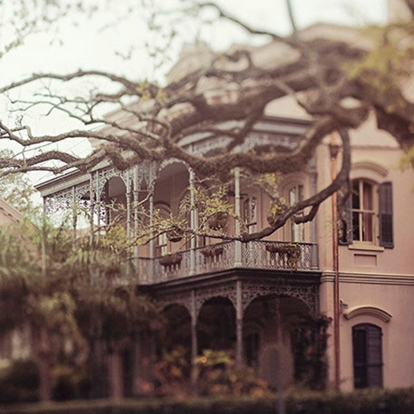 New Orleans Fine Art Photography "Southern Beauty" architecture, garden district, wall art  spring photograph, romantic, dreamy, mysterious