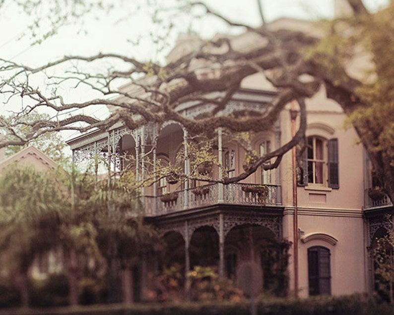 New Orleans Fine Art Photography southern Beauty Etsy