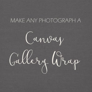 Canvas Gallery Wrap, Fine Art Photography Canvas Wall Art Choose Any Print. Ready to Hang, 8x10, 11x14, 16x20, 20x24, 20x30, 24x36, 30x40 image 1