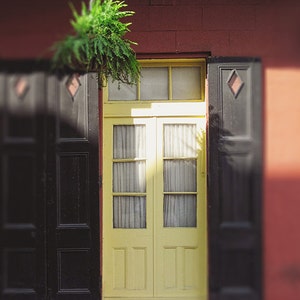 New Orleans Yellow Door Fine Art Photography Print, Louisiana French Quarter Home Decor Print image 1