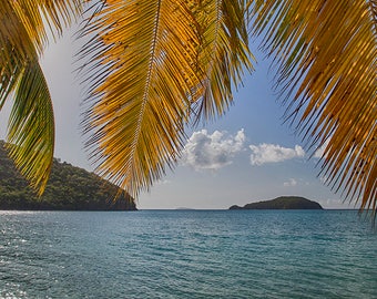 US Virgin Islands Print, St. John Photograph, Maho Bay Palm Trees, Beach Art, Caribbean, USVI, Wall Art, Fine Art Print, Tropical Decor