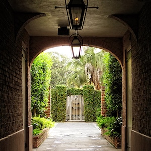 New Orleans Courtyard Photograph, New Orleans Art, Louisiana Decor, French Quarter Fine Art Photography, Wall Art, Green Secret Garden image 1