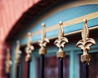 Lafayette Square  St. Louis "Victorian Fleur de Lis" Fence Photograph. Fine Art Print Home Decor, Wall Art.