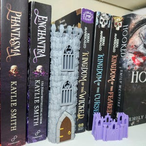 May include: A gray 3D-printed tower with a brown door and two arched windows, positioned between books titled Phantasma, Enchantra, Kingdom of the Wicked, Kingdom of the Cursed, Kingdom of the Feared, and Hooked, with a small purple castle figurine.