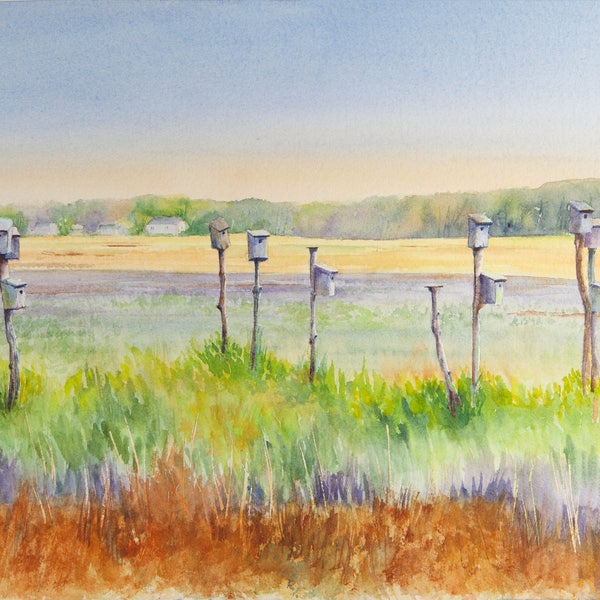 Cape Cod Art - Sandwich Art Print - Marsh Birdhouses