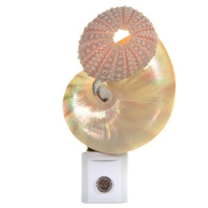 Glossy Seashell and Sea Urchin Plug In Night Light - Hand Crafted Nautilus and Sea Urchin Nightlight - Auto Sensor LED