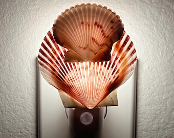 Double Seashells Night Light - Handcrafted Plug In Automatic Sensor
