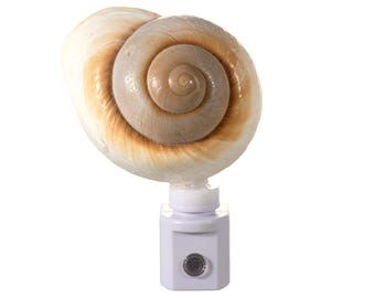 Seashell Night Light: Handcrafted Sprial Shell, Auto Sensor LED