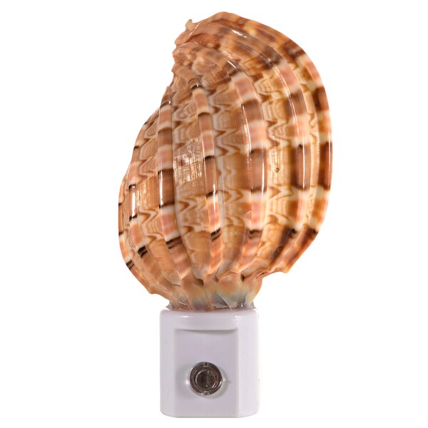 Seashell Night Light Etsy