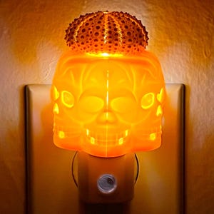 Skulls and Sea Urchin Night Light - LED Plug In Nightlight Handcrafted from Skulls & Shell - Automatic Sensor