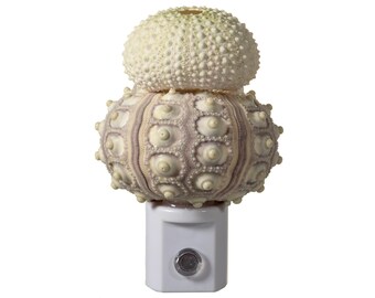 Seashell Night Light: Handcrafted Round Shell & Sea Urchin, Auto Sensor