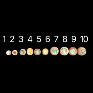 Exotic Wood Beads .89 cents with Double sided inlaid abalone or mother of pearl 10mm,  12mm or 16mm