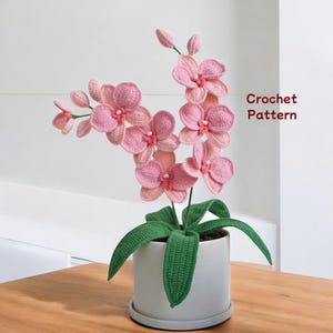 蘭のかぎ針編みパターン、花のかぎ針編みデザイン、かぎ針編みの室内装飾、花かごのかぎ針編みの説明