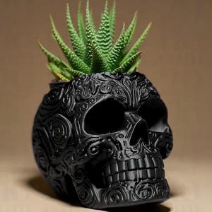 Puede incluir: Una maceta negra con forma de calavera con intrincados diseños florales, que contiene una planta suculenta verde. La maceta tiene una superficie texturizada y una amplia abertura. El tema es gótico y decorativo.