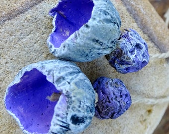 PAIR shell beach shore line Summer beach textured ceramic pod bead set purple white grey katy wroe -Z208