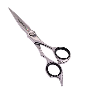 May include: A pair of professional hair shears with a silver finish and black finger inserts. The shears have a pointed blade and the text "VEGABRO ITALY" is printed on the blade.