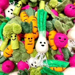 May include: A collection of colorful, handmade felt vegetables, including carrots, broccoli, beets, and green onions. Each vegetable has a smiling face, creating a whimsical and playful design. The arrangement is a mix of bright greens, oranges, pinks, and whites.