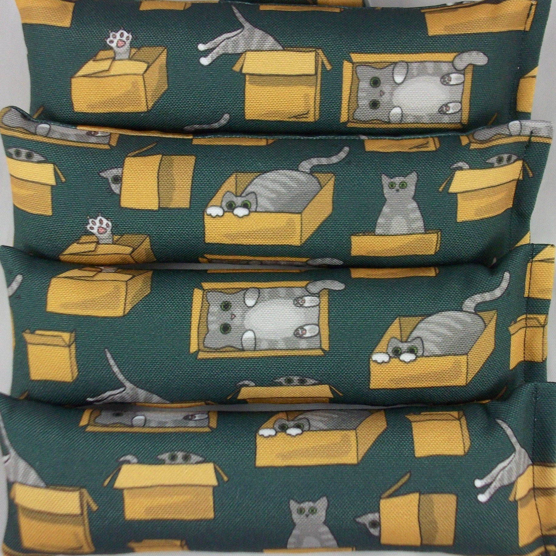 EcoKicker Catnip Cat Toy Box Pawty