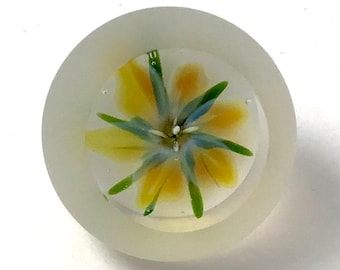 Paperweight Glass Button with Self Shank