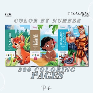 Malen nach Zahlen Bücher 3er Set Digital Malen nach Zahlen Cartoon Malseiten PDF Sofortiger Download Retro Kunst Erwachsene DIY Kindergeschenk