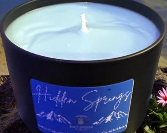 Hidden Springs 8oz Candle