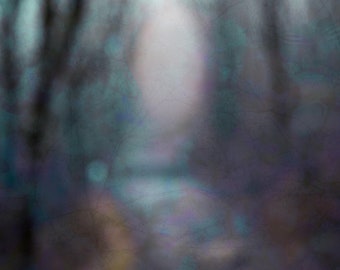 Photography Print - "Garden of Forking Paths"