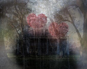 Photography Print - "Modern Vows"