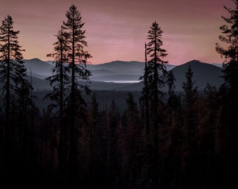 Photography Print - "I Remember Damage"