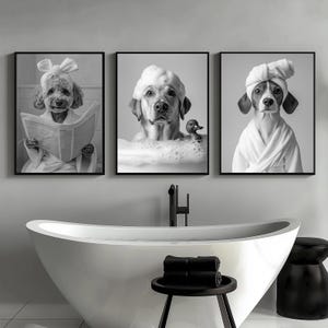 Puede incluir: Tres im&aacute;genes en blanco y negro de perros en un ba&ntilde;o. La primera imagen muestra un caniche con una toalla blanca en la cabeza y sosteniendo un peri&oacute;dico. La segunda imagen muestra un golden retriever con una toalla blanca en la cabeza y tomando un ba&ntilde;o. La tercera imagen muestra un beagle con una toalla blanca en la cabeza y mirando a la c&aacute;mara.