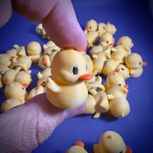 Tiny Duckling, Magnetic, Cruise Duck, 3D printed, Gift