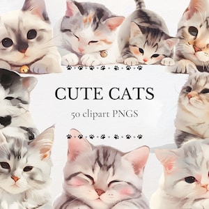 Cute Cat Clipart, Watercolor Cat Breeds, 50 PNGs, Pet Cat Graphics, Instant Digital Download, Commercial Use