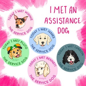 Design de "Eu Conheci um Cão de Assistência"