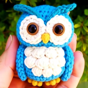 May include: A handmade crochet owl in shades of blue, white, and yellow. The owl has large, round eyes with brown centers and is held in a hand. The owl's body is blue with white accents, and it has yellow feet.