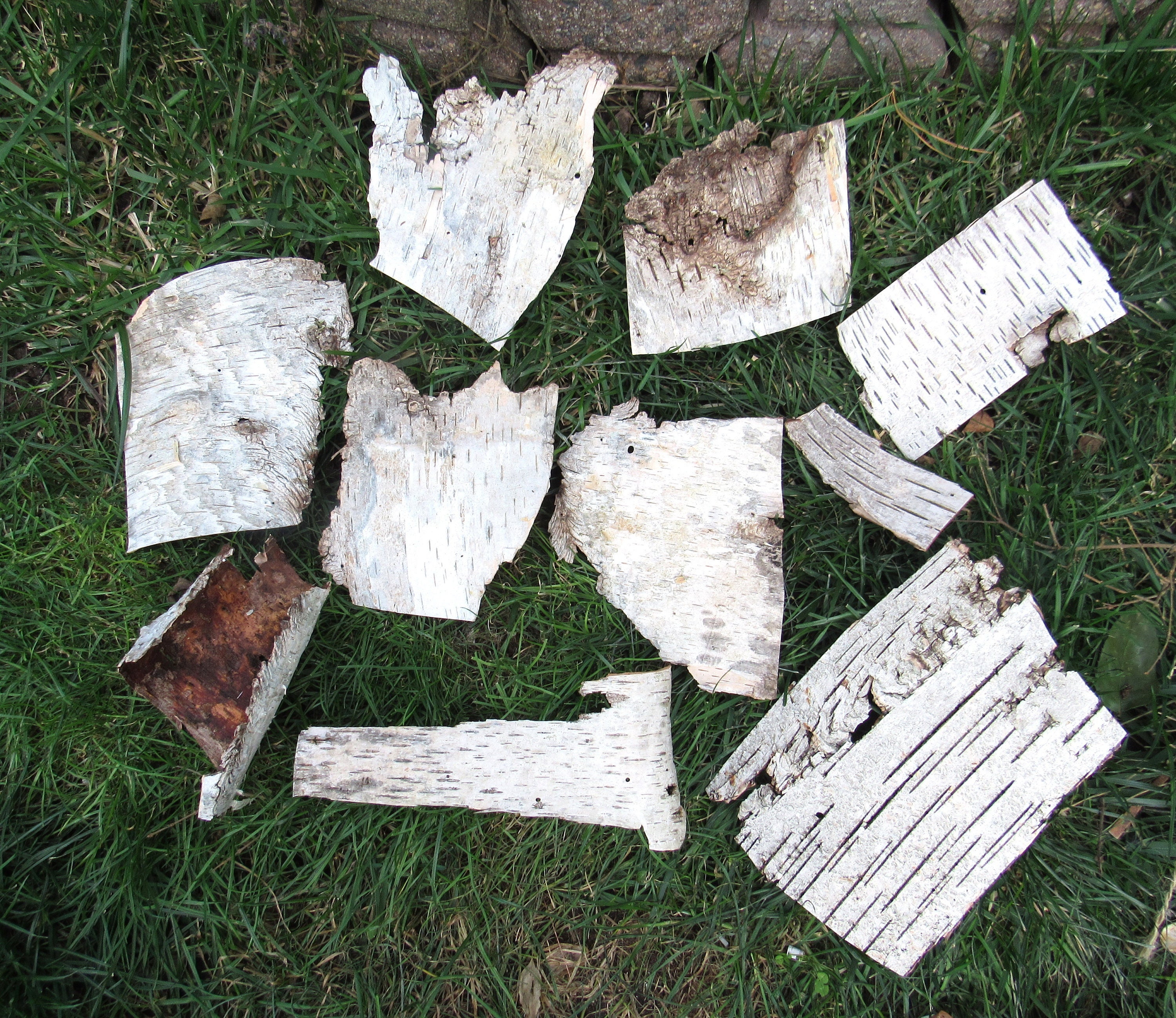 Birch Bark Sheets, Birch Bark, Tree Bark, Birch Sheets, Christmas Birch Crafts Garden B9