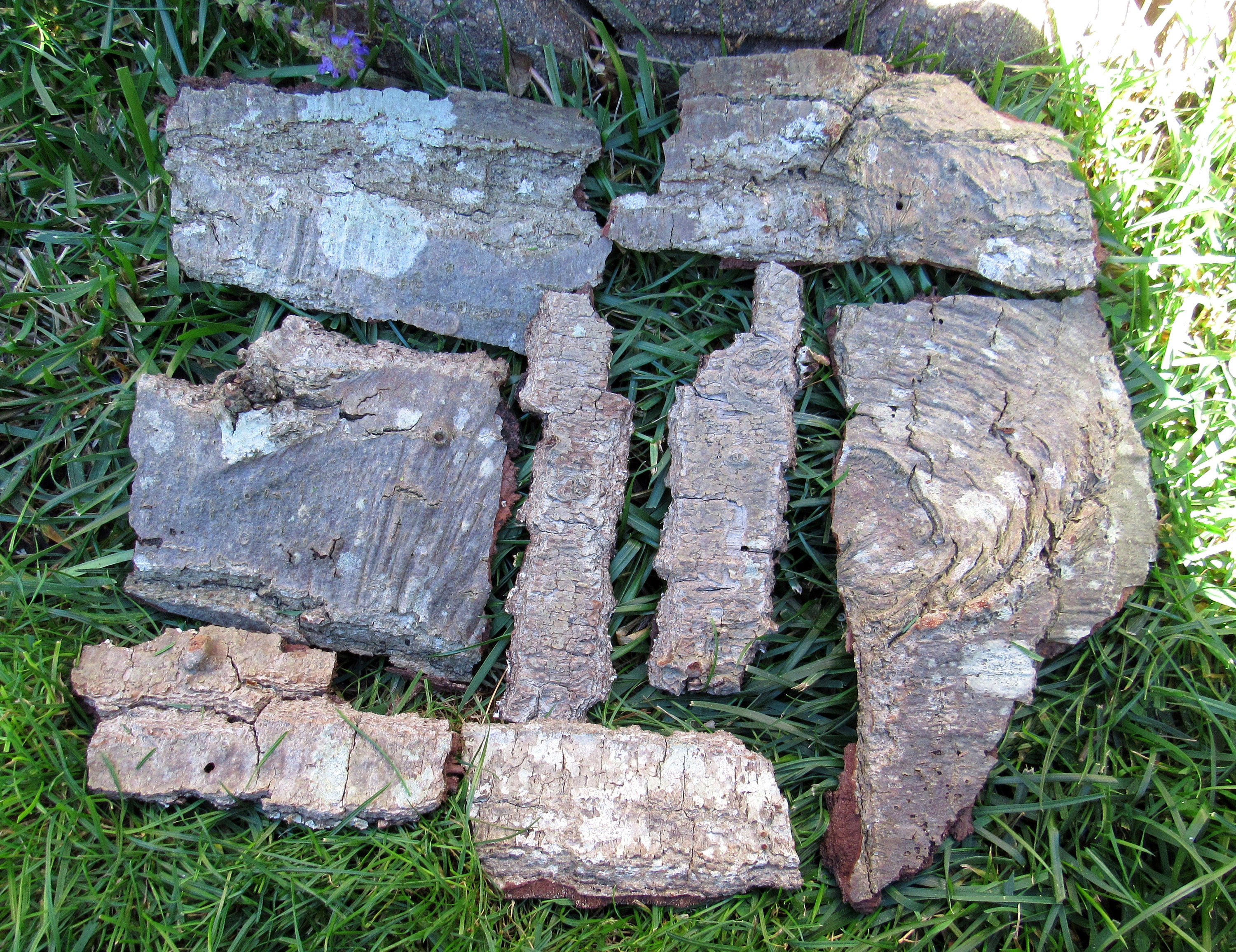 Wood Bark, Tree Bark Pieces, Wood Crafts, Fairy Garden Decoration ...