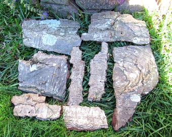 Wood Bark, Tree Bark Pieces,  Wood Crafts, Fairy Garden Decoration, Woodland Nature B7