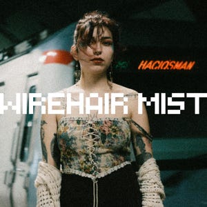 May include: A woman with dark hair and a floral print top stands in front of a train. The text "WIREHAIR MIST" is written in white pixelated letters across the image.