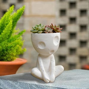 May include: A white ceramic planter shaped like a seated figure, holding a variety of succulents. The planter has a textured surface and features large, round eye-like indentations. The succulents are green and reddish-brown.