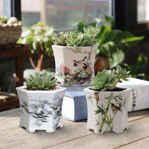 May include: Three white ceramic planters with succulents. The planters have a hexagonal shape and are decorated with different Asian-inspired designs. One features a black and white landscape, another has birds and bamboo, and the third has cranes and flowers.