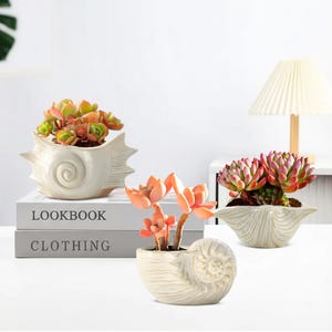 Nowa ceramiczna doniczka z serii Marine, doniczka w kształcie muszli, doniczka na sukulenty, dekoracja w stylu nadmorskim, ceramiczna mini doniczka, wazon w kształcie muszli.