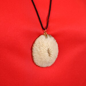 Interesting Vintage White Textured Shell Pendant Necklace image 3