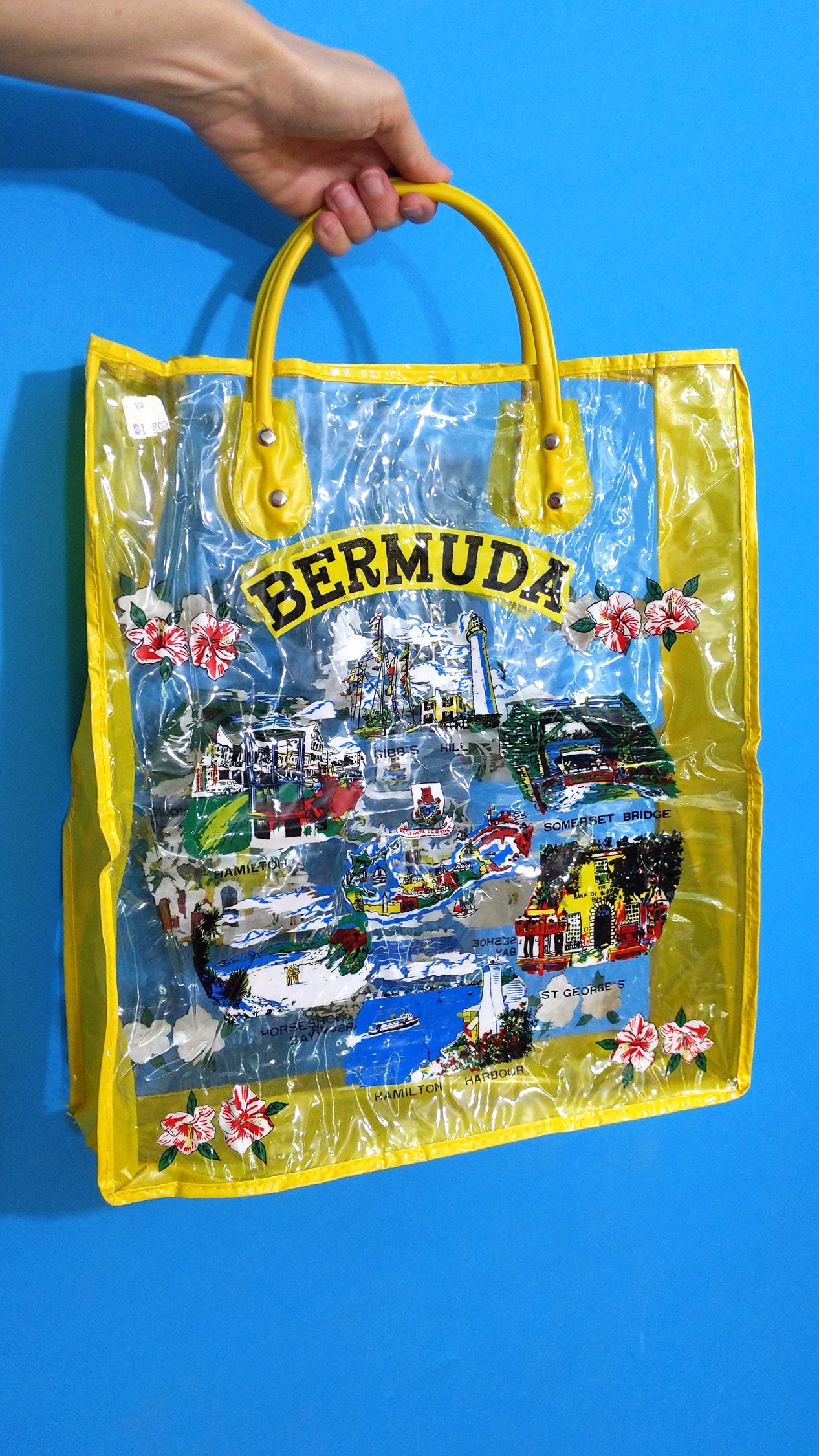 Deadstock Fun Vintage 60s 70s Bermuda Novelty Clear Vinyl