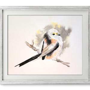 Stampa ad acquerello dipinta a mano di una soffice cinciarella appollaiata su un ramo. Graziosa piccola opera d'arte murale di uccelli. Opera d'arte di animali per qualsiasi parete.