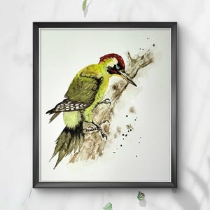 Picchio verde dipinto a mano ad acquerello e stampato su carta Fine Art di alta qualità. Arte murale colorata per gli amanti degli uccelli