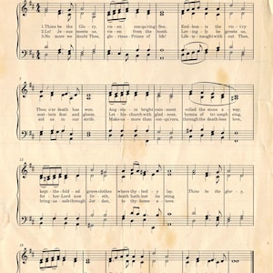 Pode incluir: Um conjunto de três canecas de cerâmica com esmalte creme salpicado. Cada caneca apresenta um design pintado à mão diferente: uma folha azul e verde, uma flor amarela e uma baga vermelha. As canecas têm uma forma simples e arredondada.