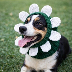 Hunde Blumen Häkelmuster, Daisy Häkelanleitung (PDF Download)